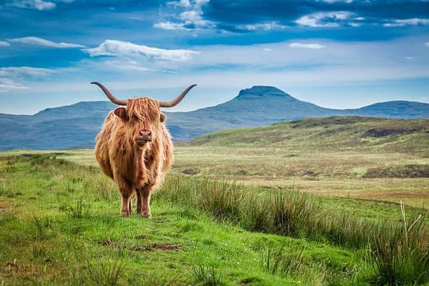 Day 11 - Full Day Isle of Skye - Portree